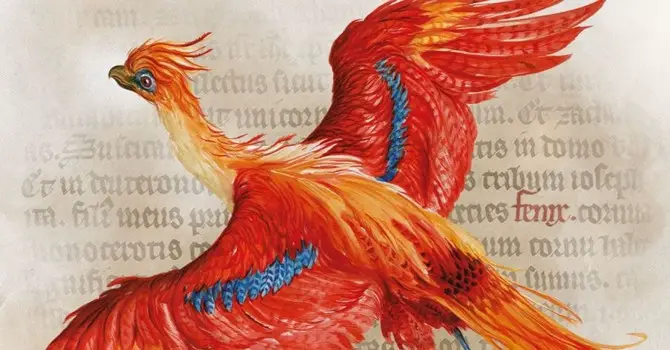 Wingardium Leviosa! Harry Potter: A History of Magic Opens